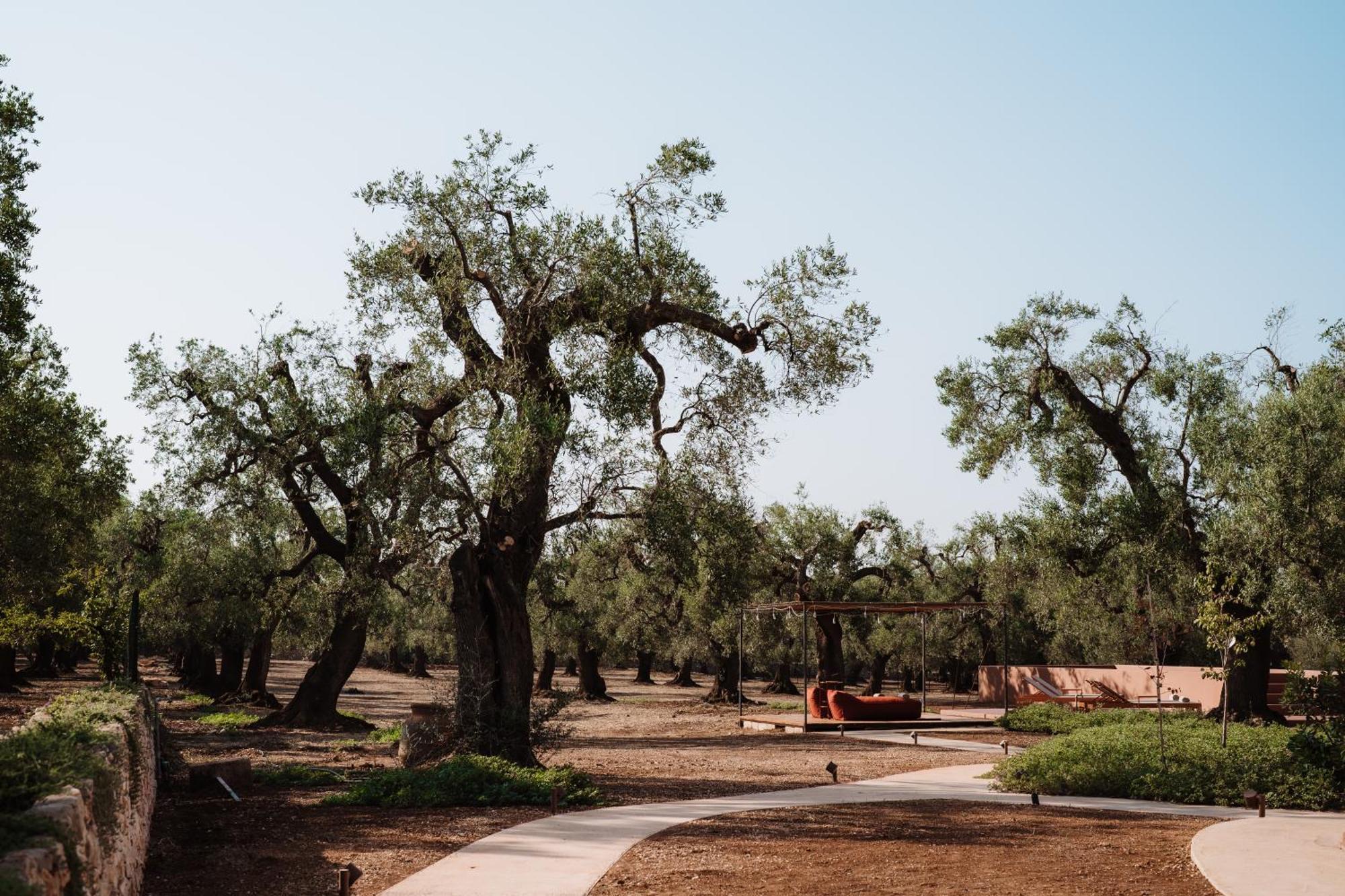 Ozio - Il Trullo Rosso Bed & Breakfast Fasano Eksteriør bilde