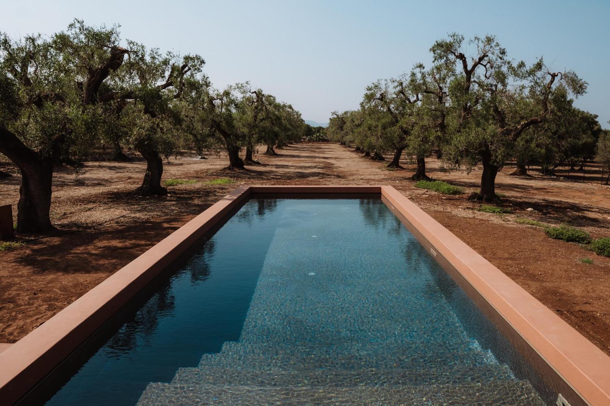 Ozio - Il Trullo Rosso Bed & Breakfast Fasano Eksteriør bilde